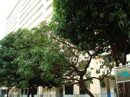 Admiralty Link thumbnail photo